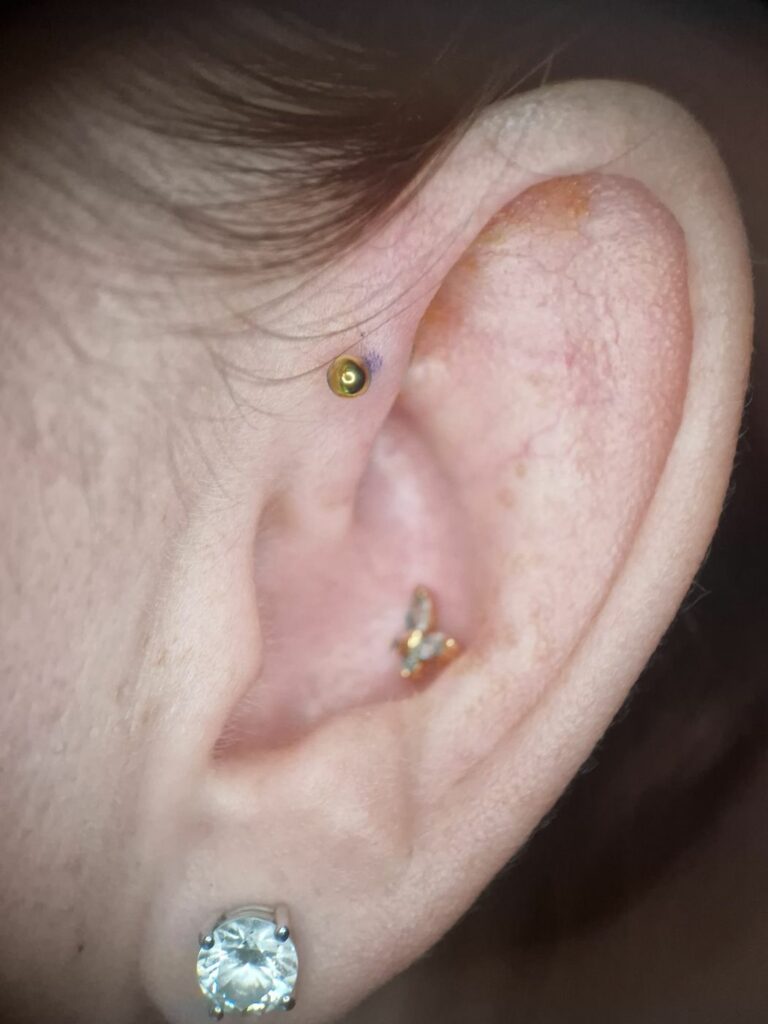 Piercing anti-hélix avec embout papillon, réalisé par Oc Piercing au salon Jolie Piqûre à Arles